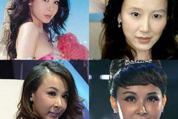 有哪些明星整容了,明星整容真相大起底