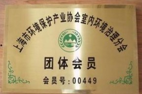 八卦铜牌图片欣赏,探寻古代智慧与神秘符号的交融之美