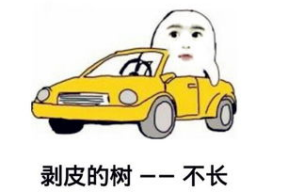 关于鳖的搞笑段子