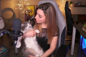 女主播 扔蛋糕,意外引发网络狂欢