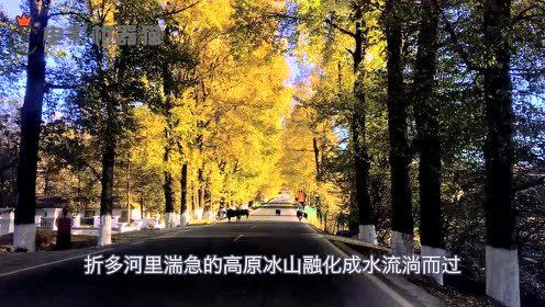 娱乐吃瓜君太阳