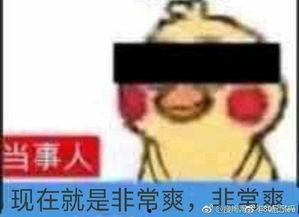 娱乐吃瓜鹅君,揭秘娱乐圈那些不为人知的幕后故事
